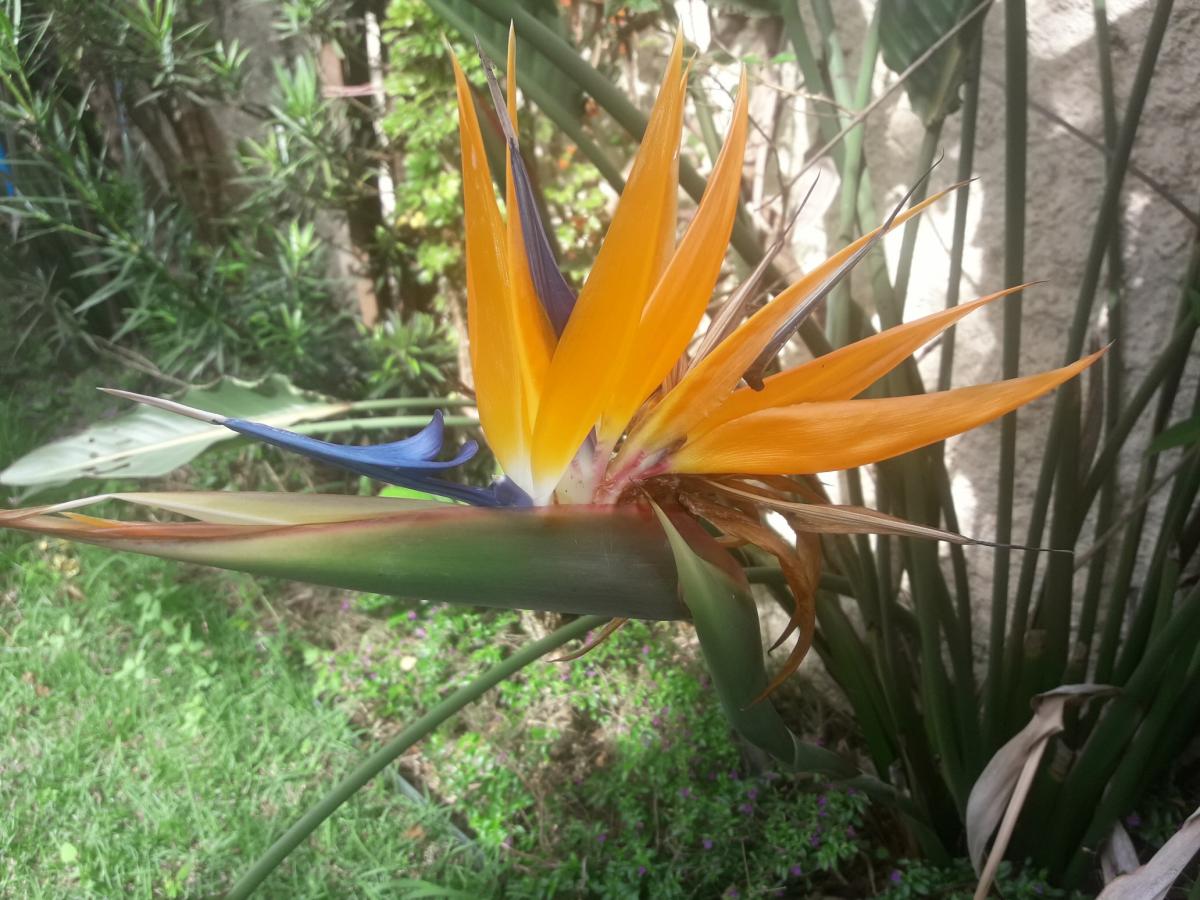 20190503_100709_resized