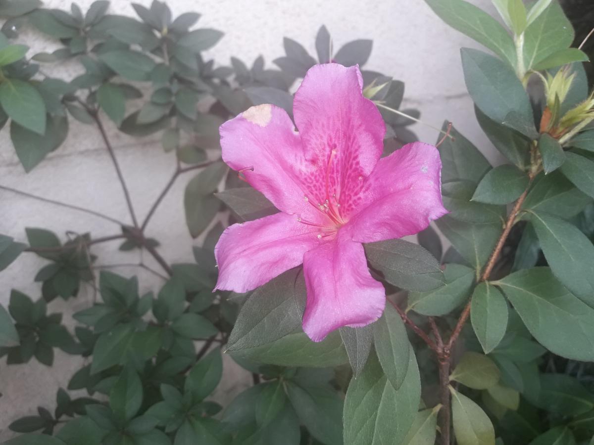 20190503_100730_resized