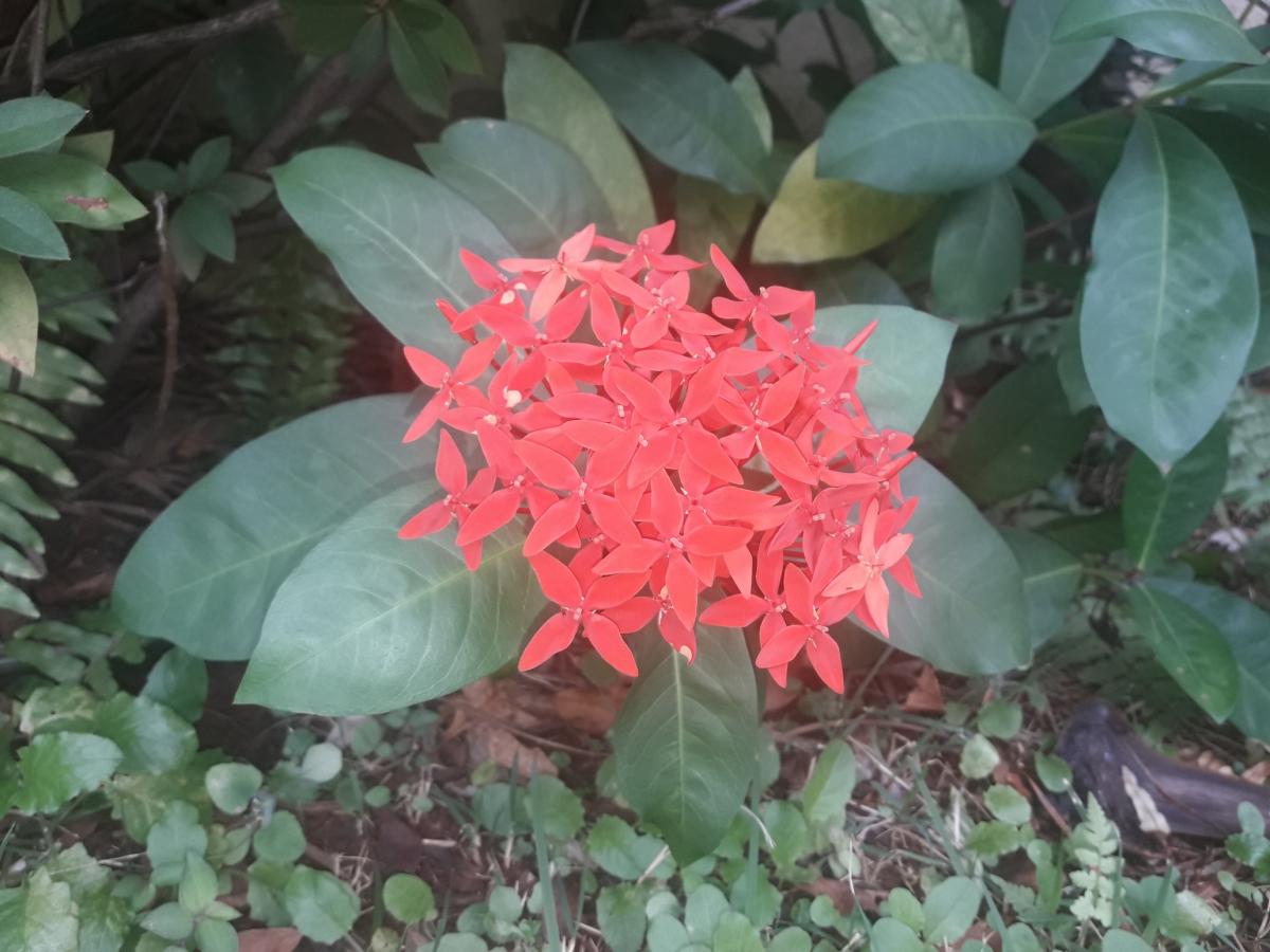 20190503_100749_resized