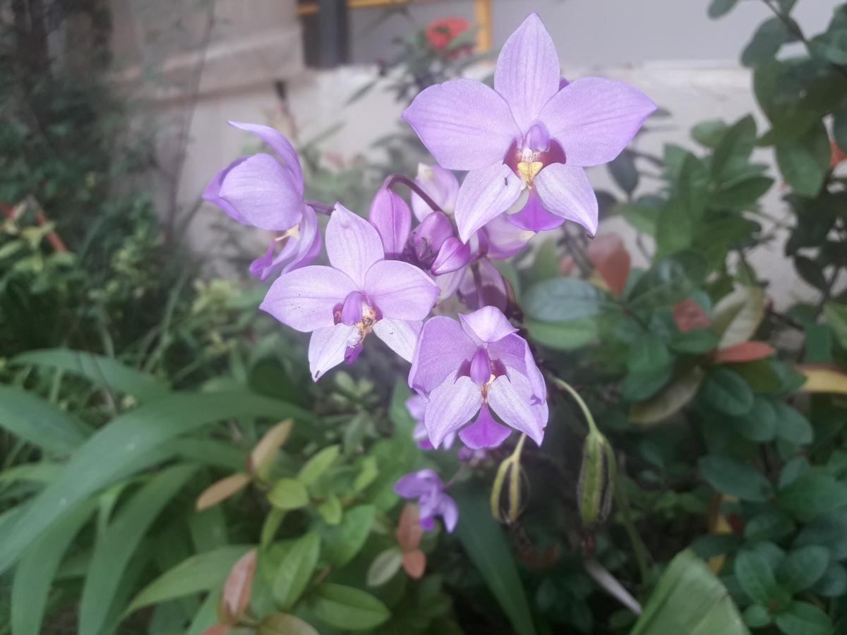 20190503_100856_resized