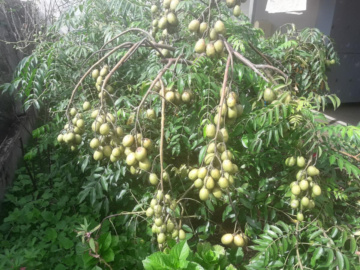 20190503_100936_resized