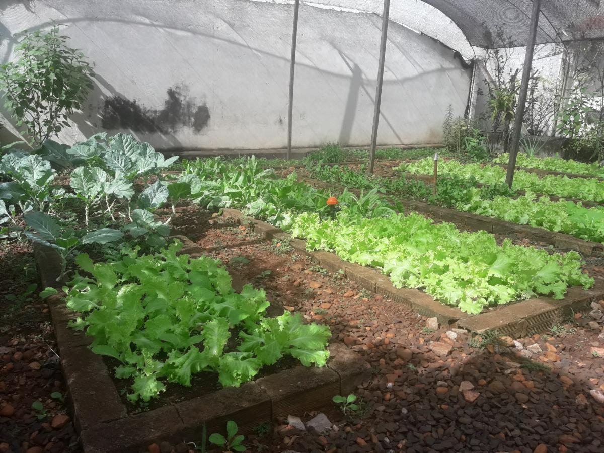 20190503_101107_resized